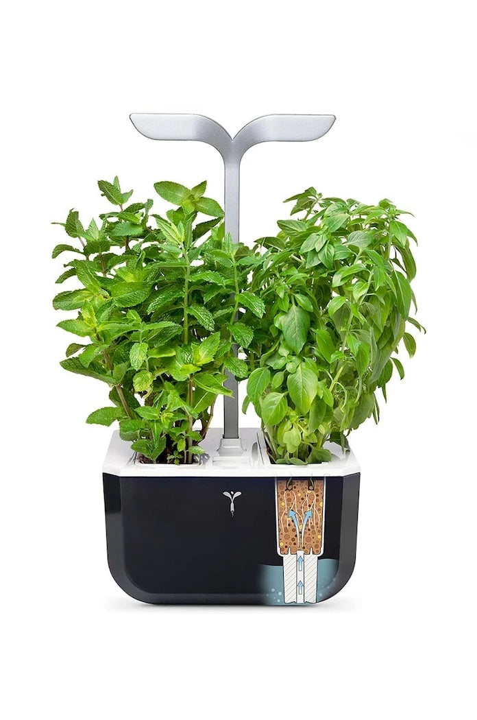 Veritable Exky Smart Otonom Ev Bahçesi 20 × 18 cm
