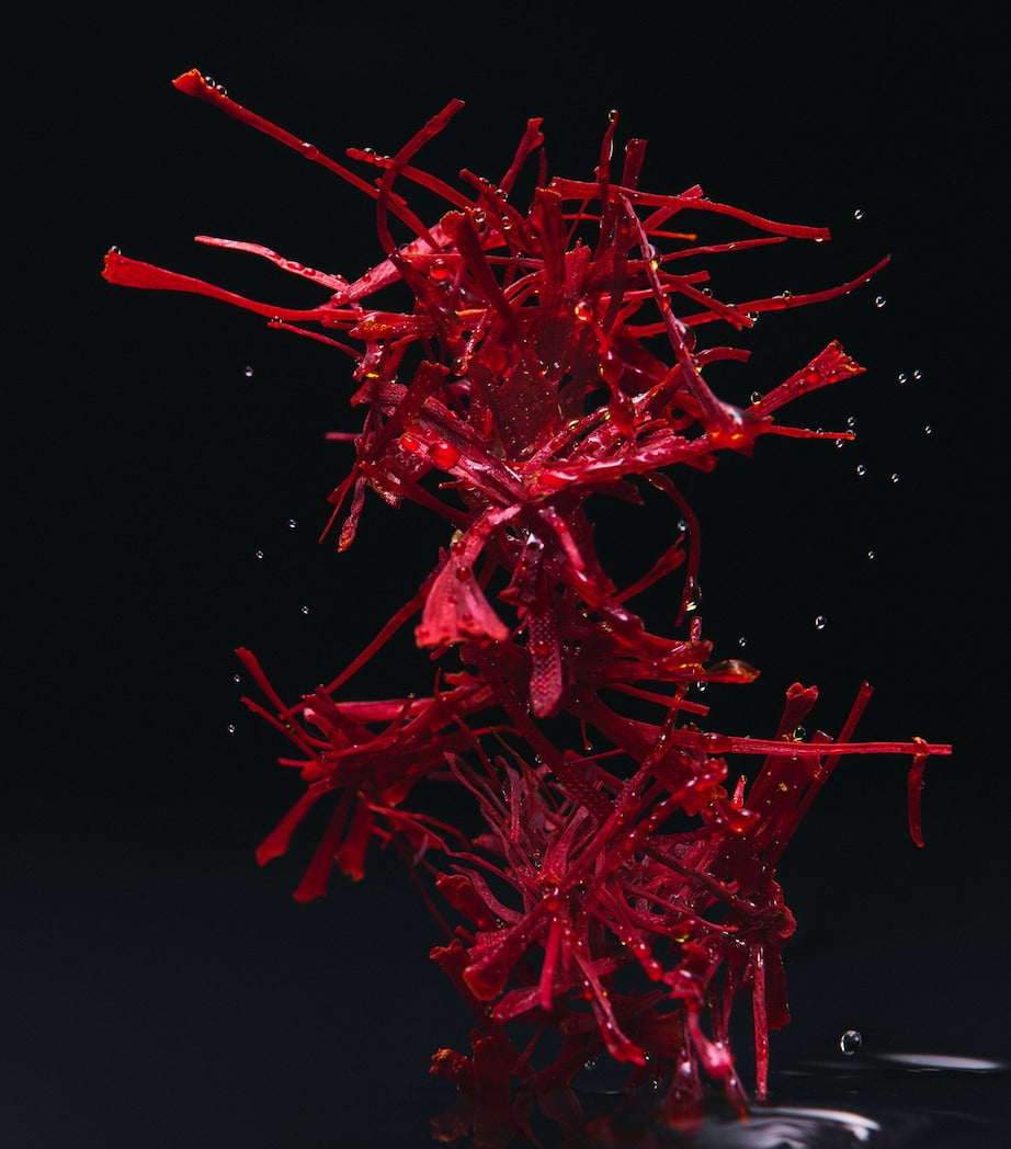 Dolce & Gabbana Velvet Zafferano Eau de Parfum (100ml)