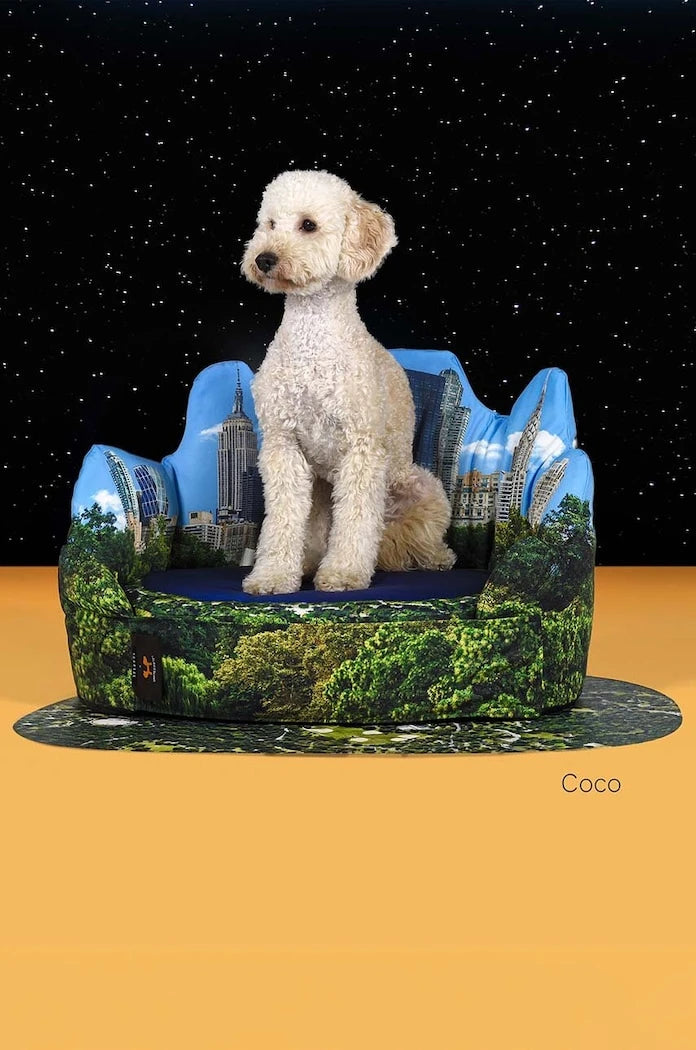 United Pets New York x Seletti Evcil Hayvan Yatağı