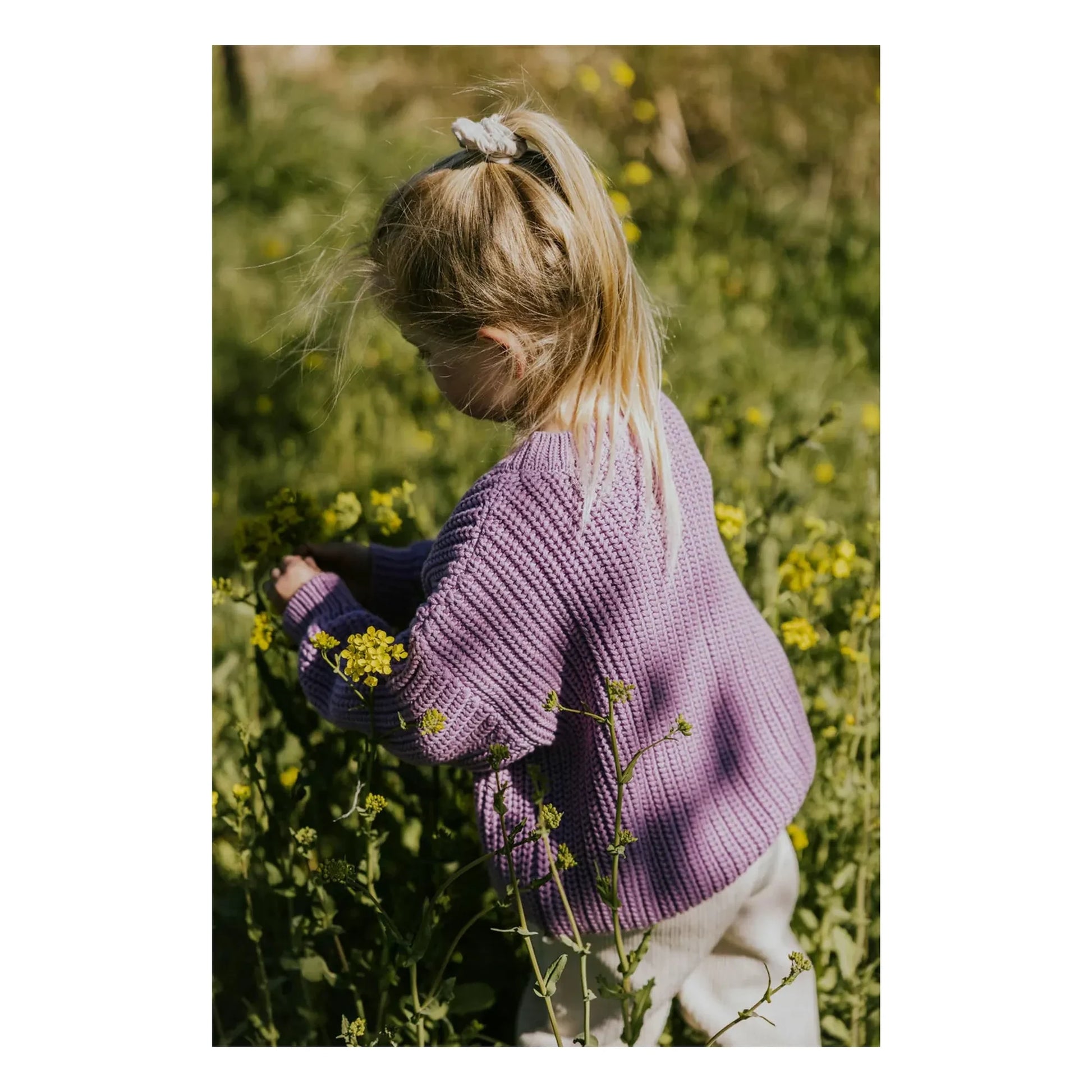 Yuki - Organic Cotton Chunky Sweater | Lavender