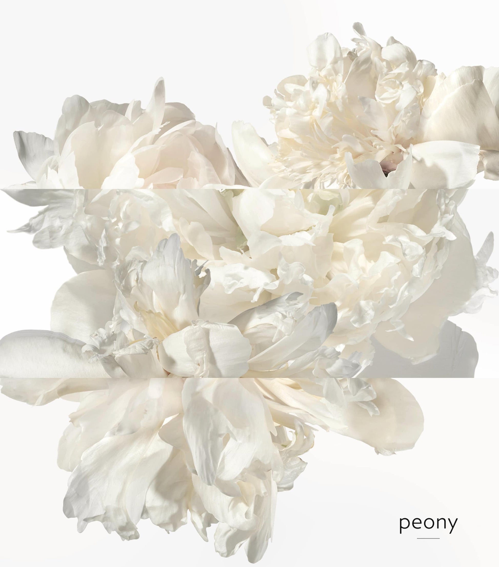 HERMÈS Twilly D'Hermès Ginger Eau de Parfum (85Ml)