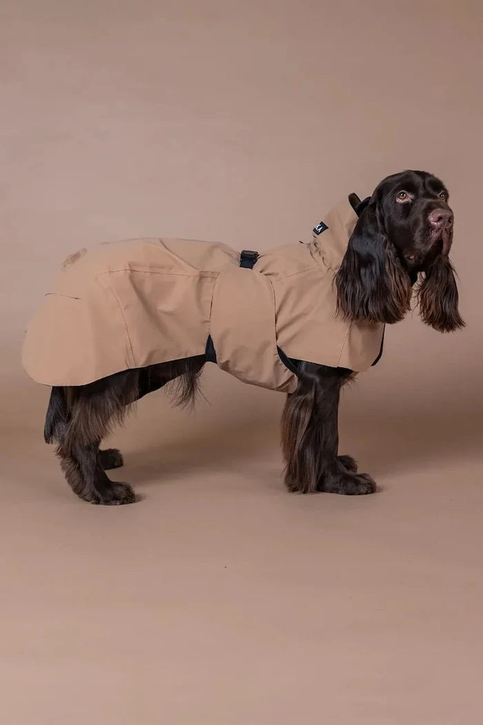 PAIKKA Visibility Raincoat Köpek Yağmurluğu 56 x 45 x 0,9 cm