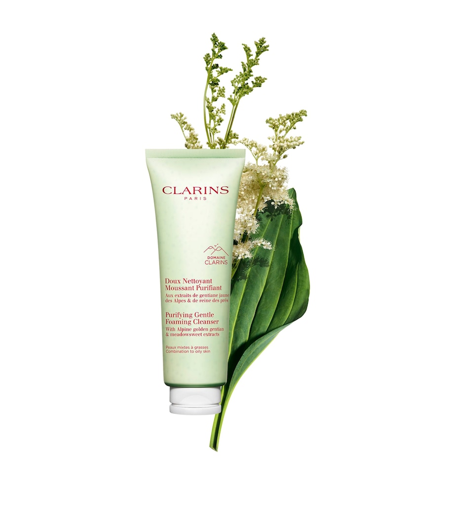 Clarins Purifying Gentle Foaming Cleanser (125ml)