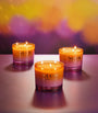 Cosy Nights Candle (420g)
