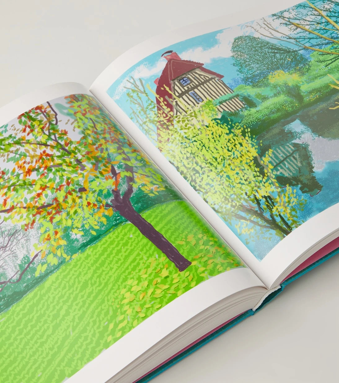 Taschen - كتاب ديفيد هوكني: 220 لعام 2020