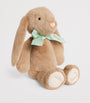 Plush Bunny (25cm)