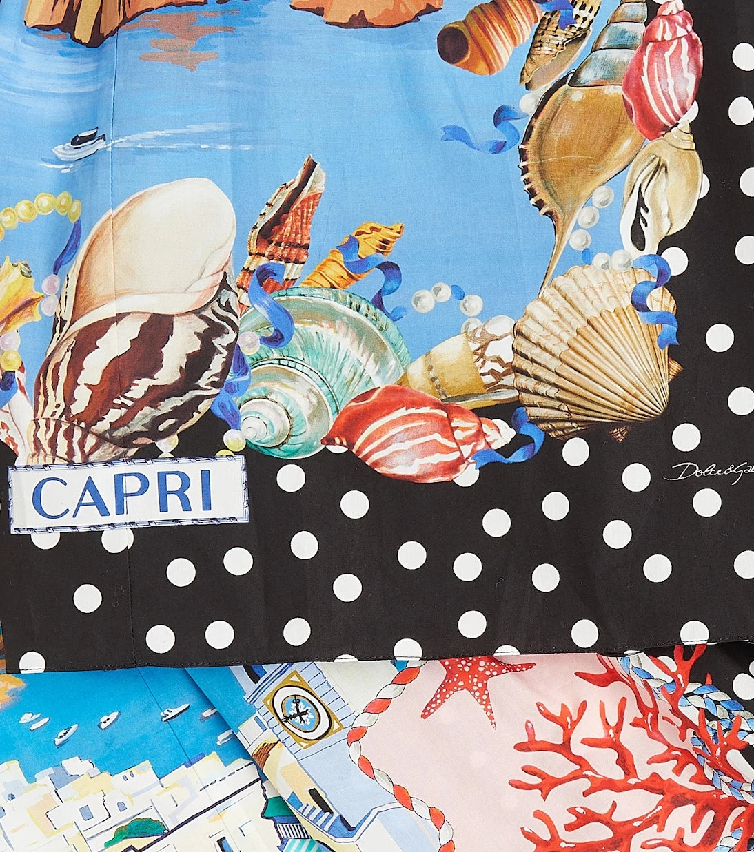 Dolce&Gabbana Kids - Capri printed cotton poplin skirt