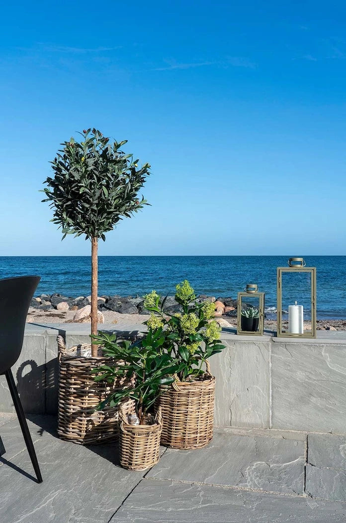 Изкуствено дърво в саксия House Nordic Fig tree