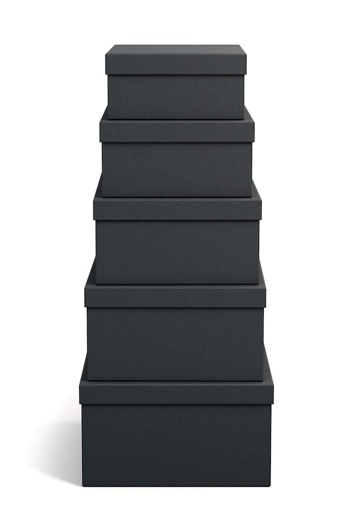 Bigso Box of Sweden Joel Saklama Kutusu Seti (5 Parça)
