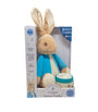 Peter Rabbit Bedtime Cuddles Set (36cm)