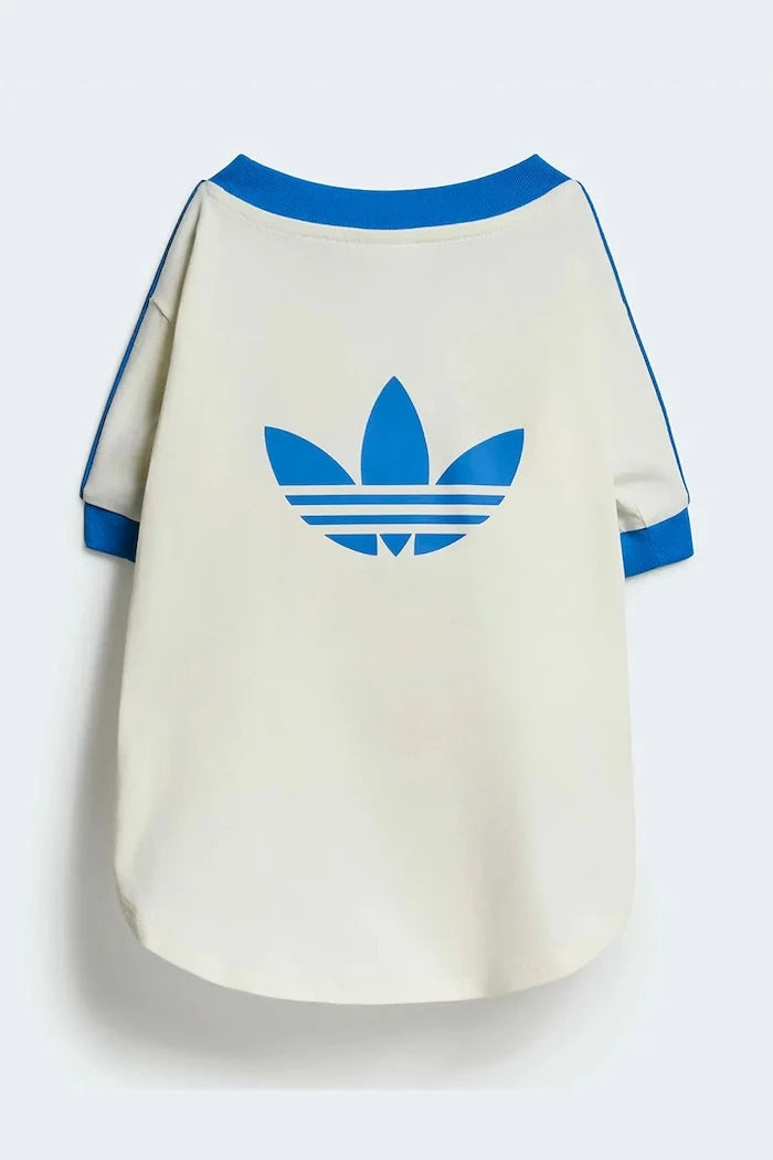 adidas Originals Evcil Hayvan Pet Cali