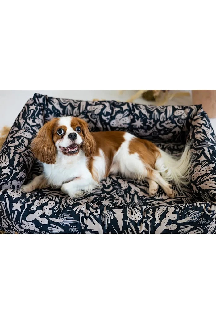 Bebobi Sono 70 x 50 x 17 cm Ortopedik Evcil Hayvan Yatağı