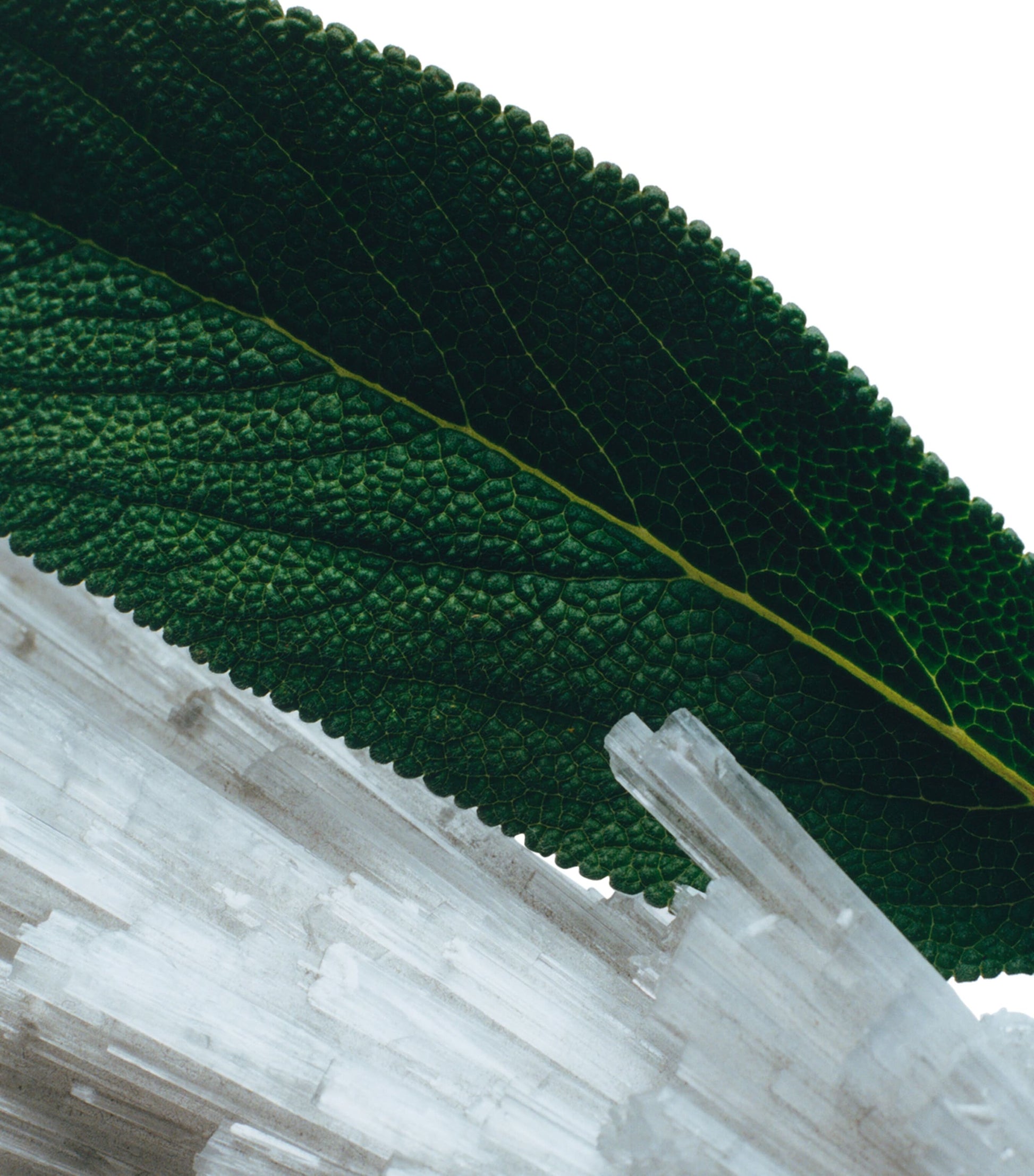 Jo Malone London Wood Sage and Sea Salt Body Crème (50ml)