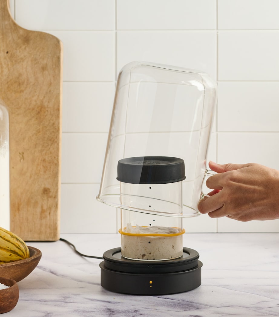 Sourhouse Goldie Heated Sourdough Starter Kit
