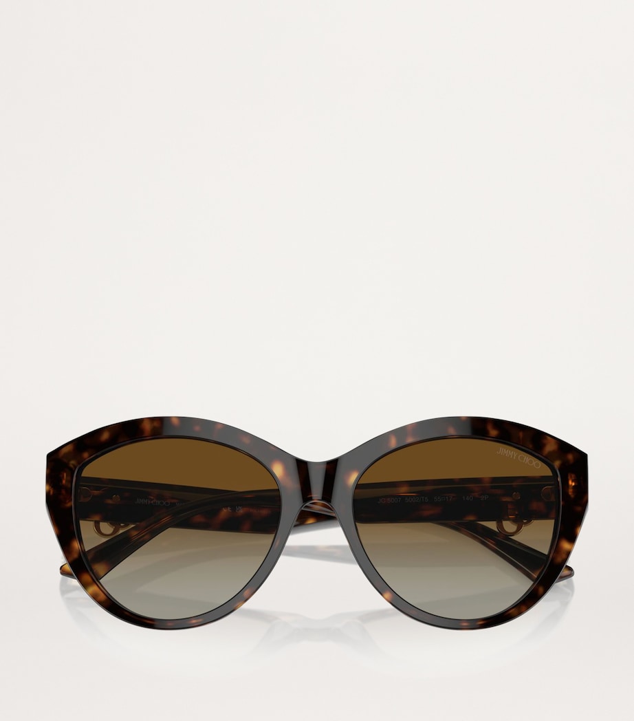 Brown Acetate JC5007 Sunglasses