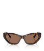 Jimmy Choo Brown Acetate JC5022B Sunglasses