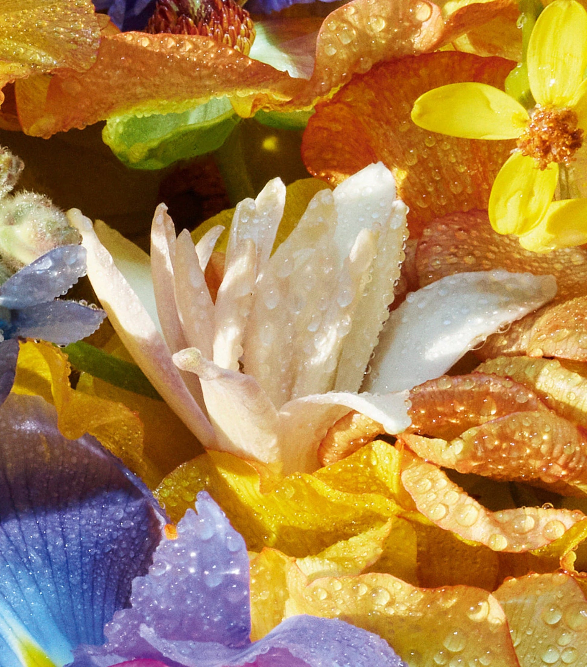 Aqua Allegoria Florabloom Eau de Toilette (125ml)