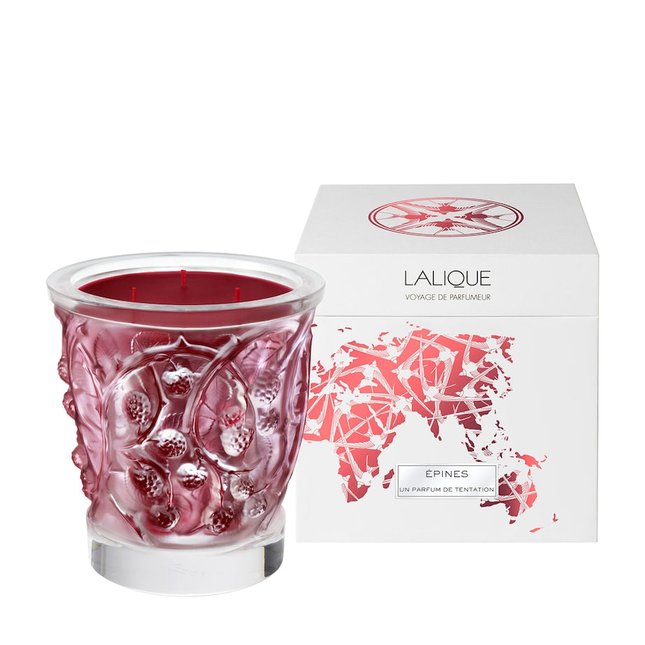 Épines Scented Candle (750g)