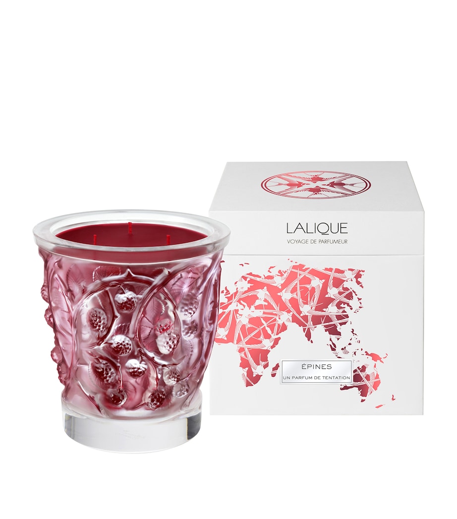 Épines Scented Candle (750g)
