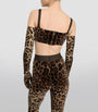 Dolce & Gabbana Multi Velvet Leopard Print Leggings