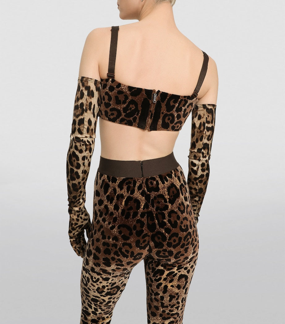 Dolce & Gabbana Multi Velvet Leopard Print Leggings