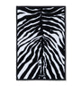 Dolce & Gabbana Casa Cotton Zebra Print Guest Towel (40cm x 60cm)