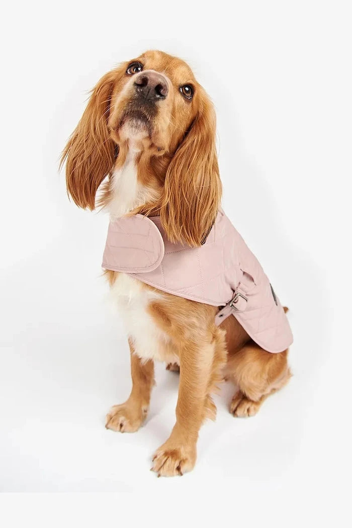 Кучешко палто Barbour