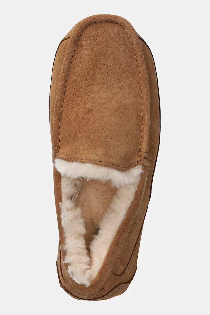 UGG - Кожени чехли Ascot