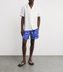 Silk Tropical Turtles Bilkbot Shorts