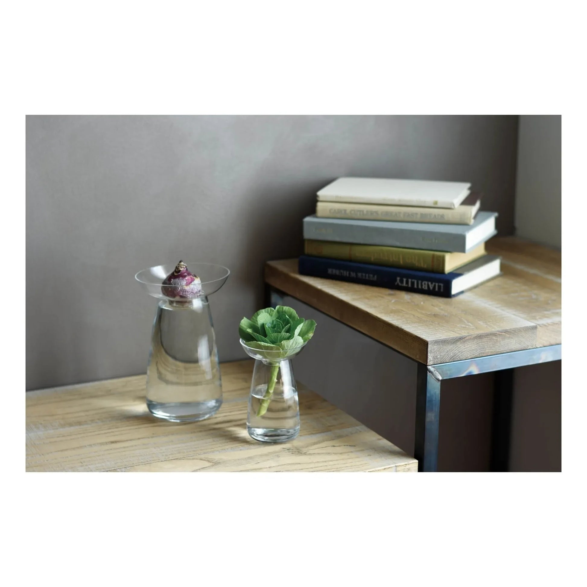 Kinto - Aquaculture Glass Vase | Transparent