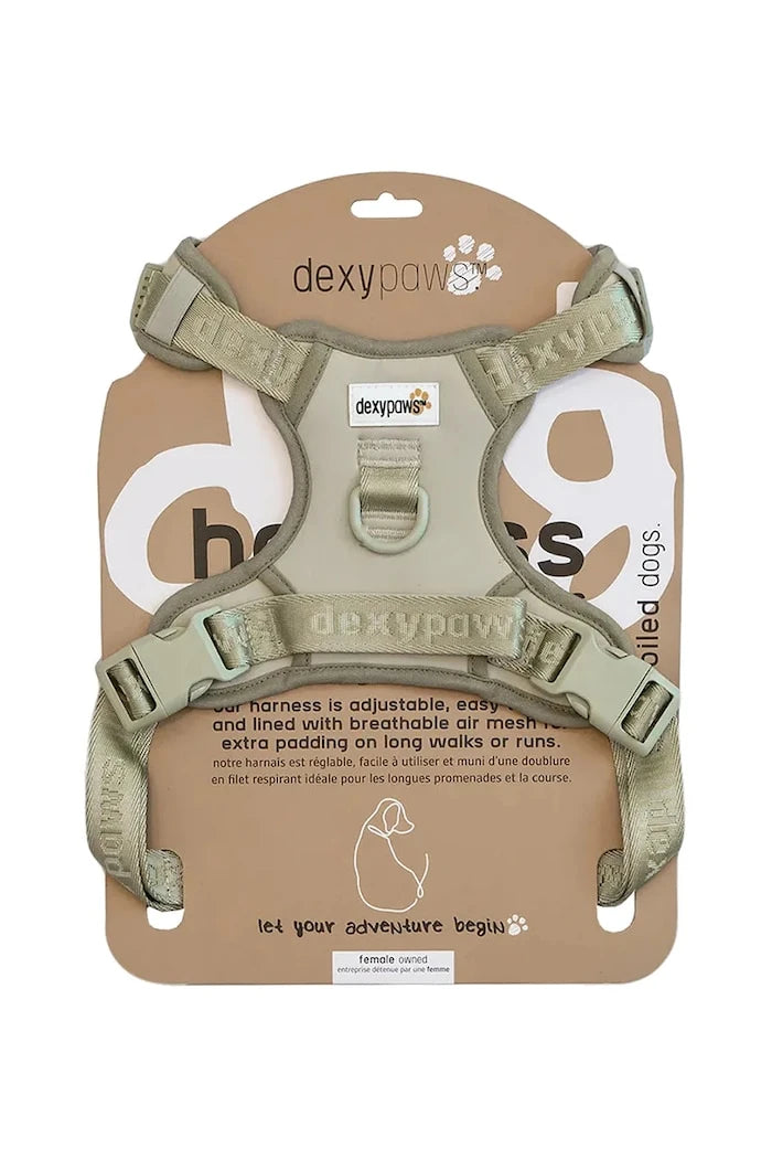 Dexypaws No-Pull Köpek Göğüs Tasması Sage M