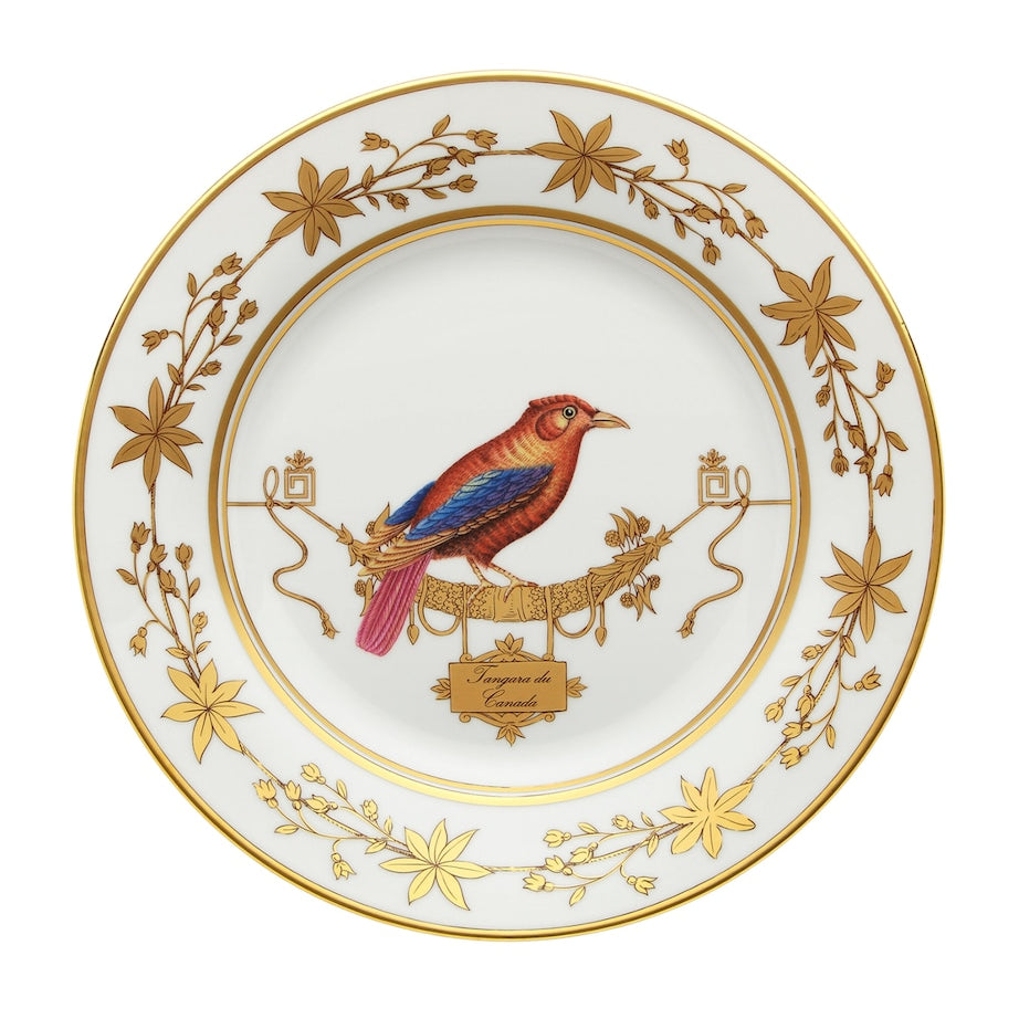 GINORI 1735 Volière Tanager Dinner Plate (26.5cm)