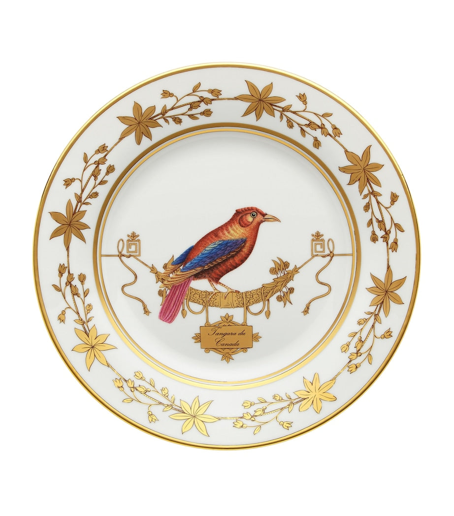 GINORI 1735 Volière Tanager Dinner Plate (26.5cm)
