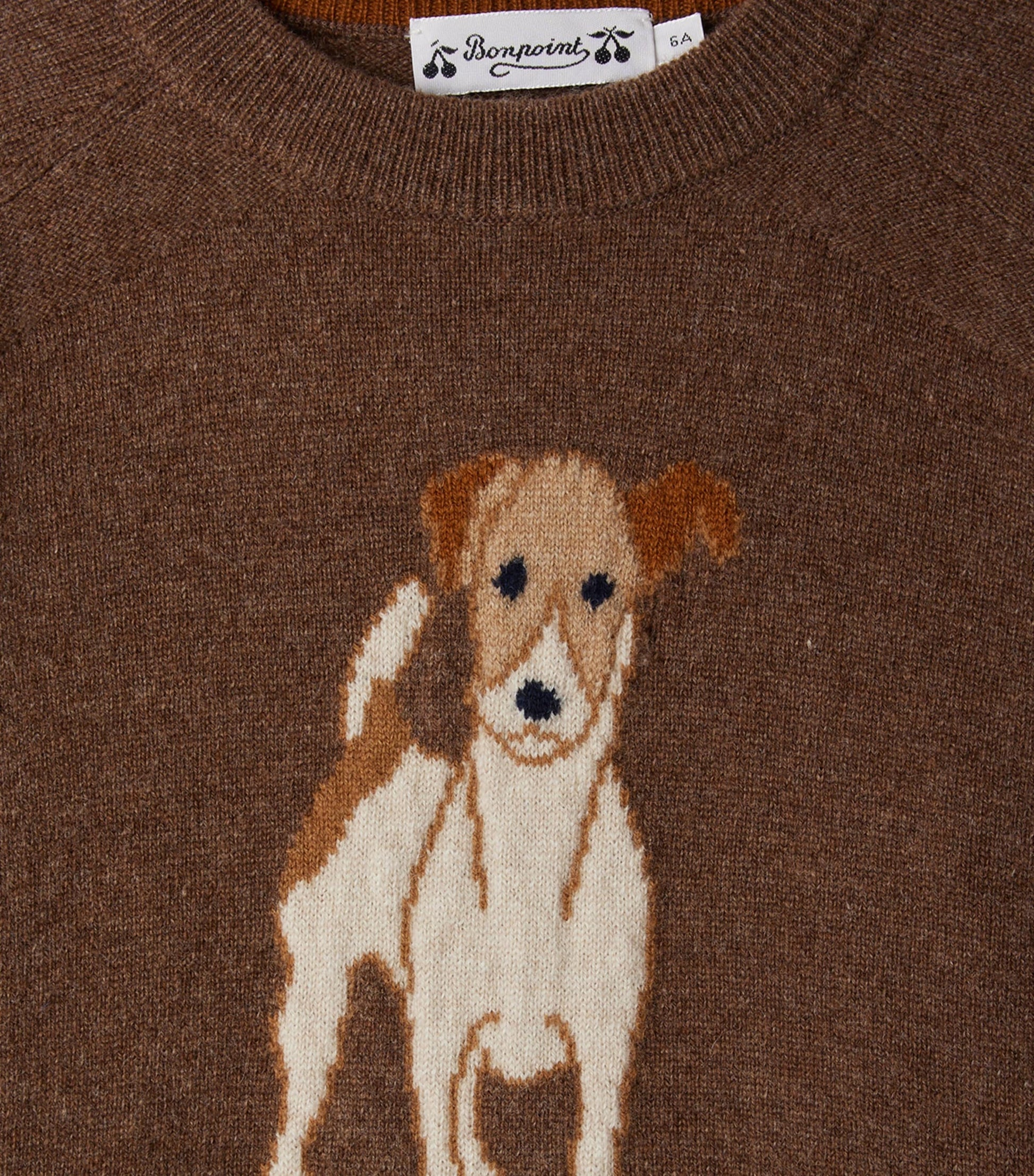 Cashmere Jacquard Sweater (4-8 Years)