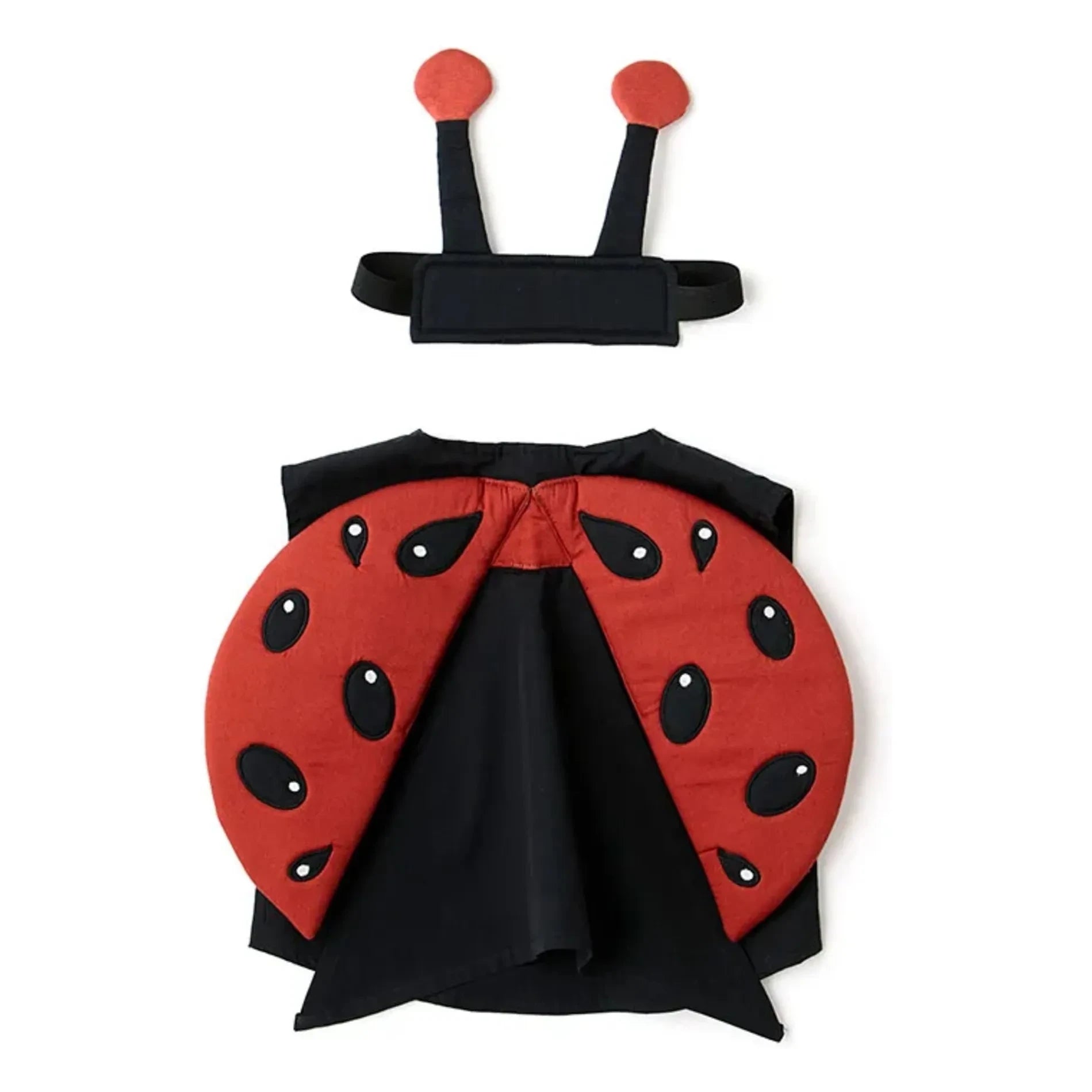 Kid's Concept - Ladybug disguise