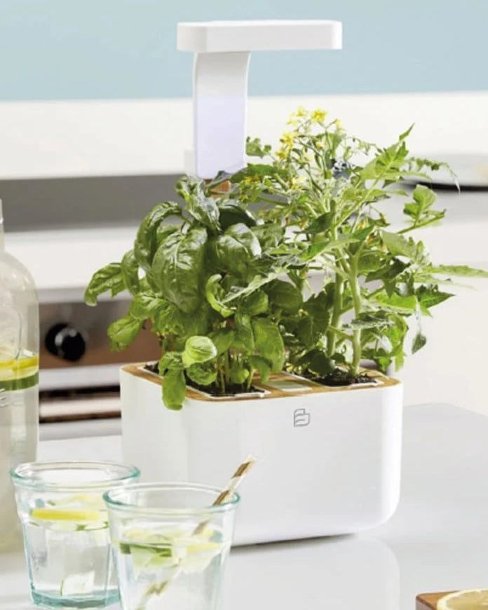Veritable - Botaneo Eylo Otomatik Ev Bahçesi