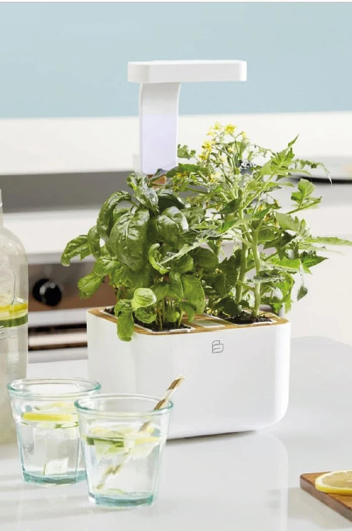 Veritable - Botaneo Eylo Otomatik Ev Bahçesi