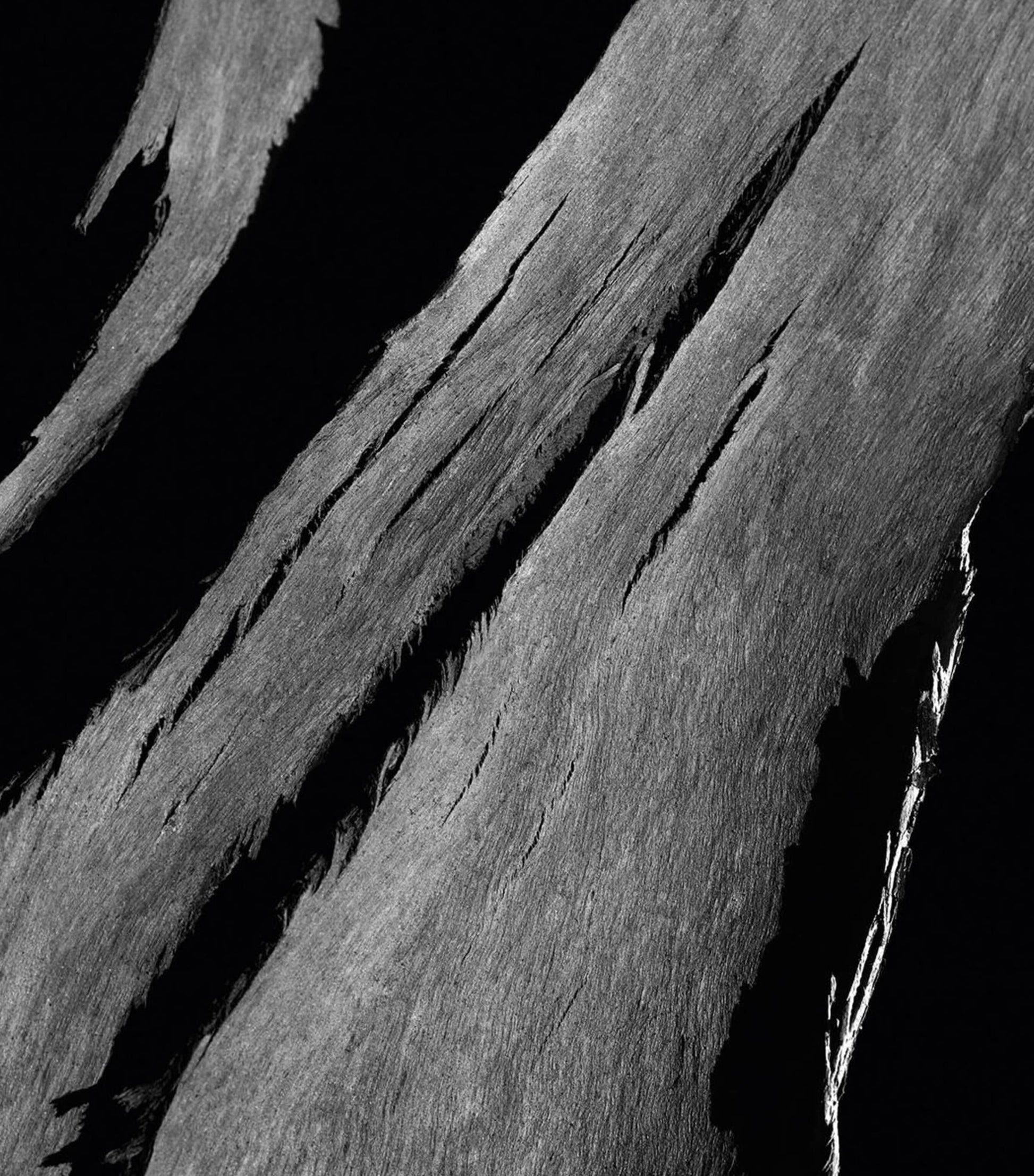 Givenchy L’Interdit Eau de Parfum (80ml)