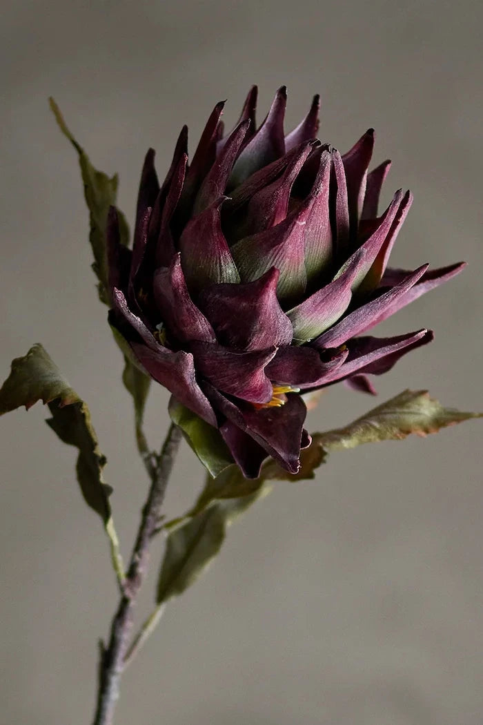 Изкуствено растение Bloomingville Protea Stem 76 cm