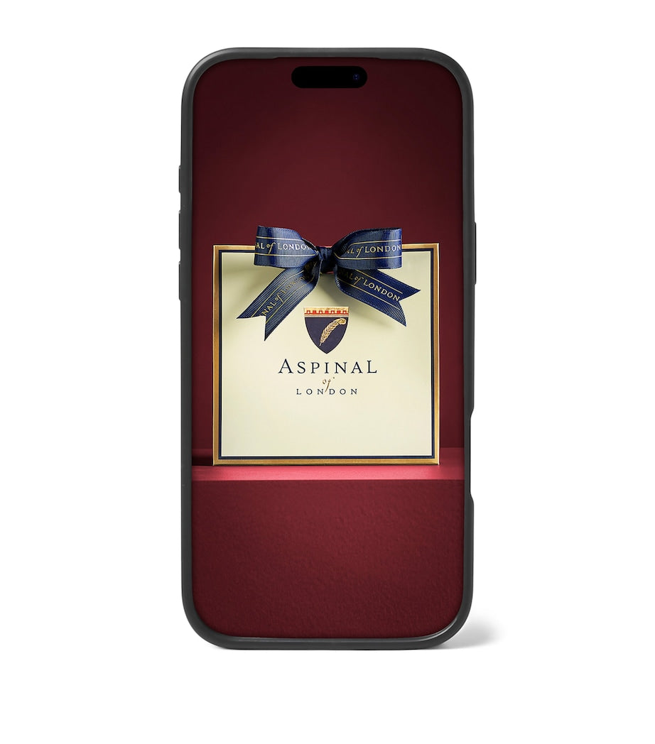 Grained Leather iPhone 17 Pro Case