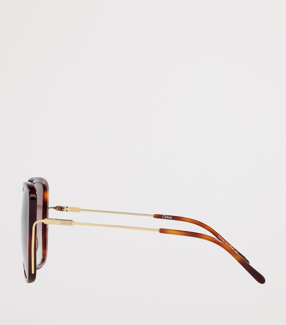Brown Acetate 06N000487 Sunglasses