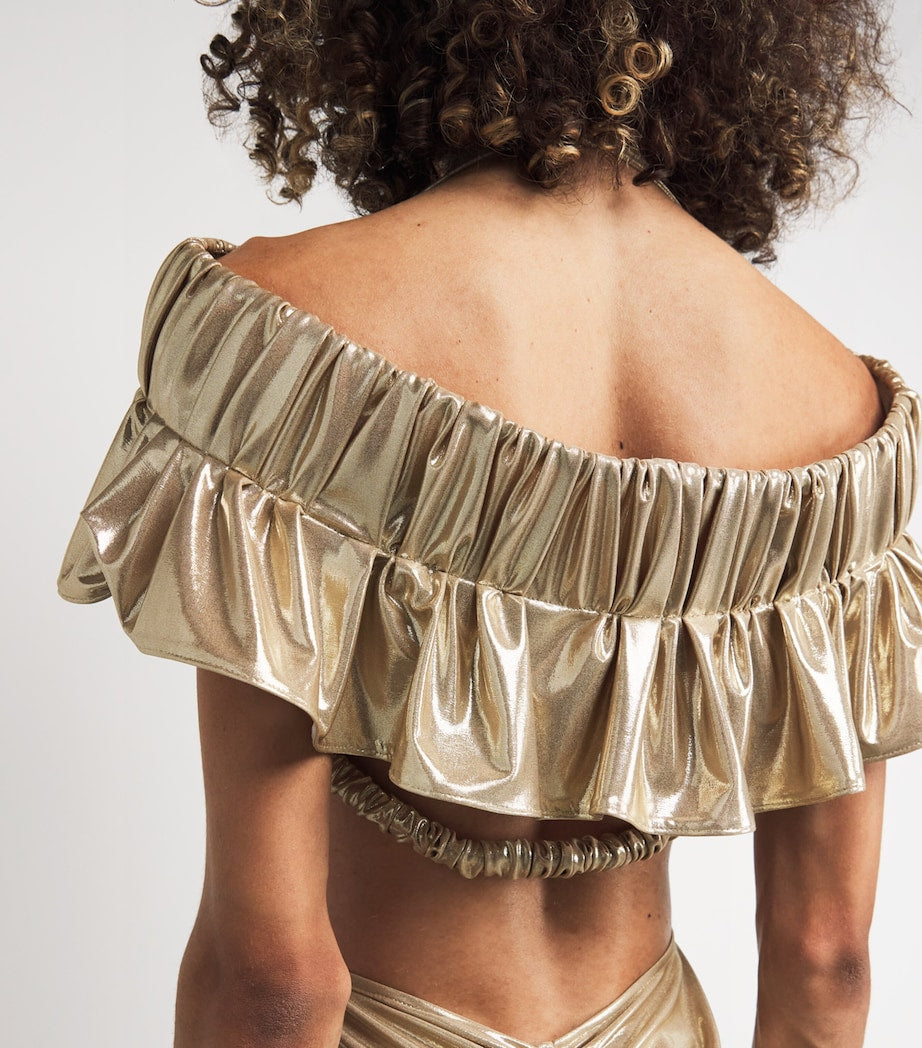 Maticevski Gold Plunge Latitude Gown