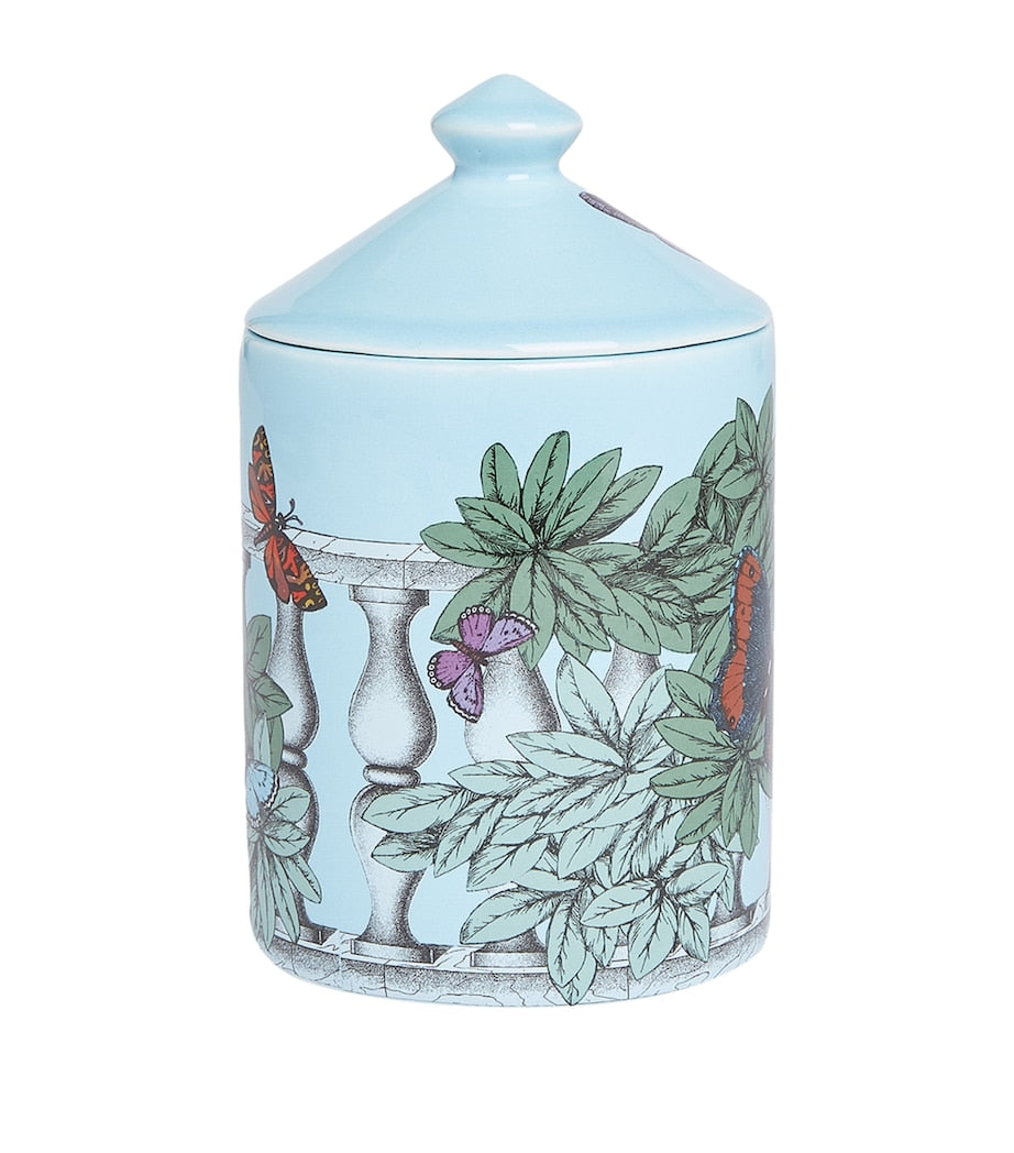 Small Farfalle e Balaustra Candle (310g)
