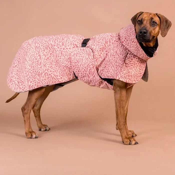 Köpekler için kışlık palto PAIKKA Visibility Winter Jacket 45 x 40 x 2,1 cm