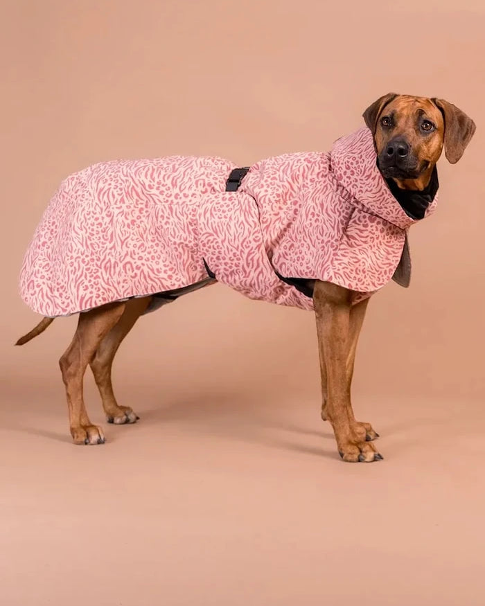 Зимно палто за куче PAIKKA Visibility Winter Jacket 45 x 40 x 2,1 cm