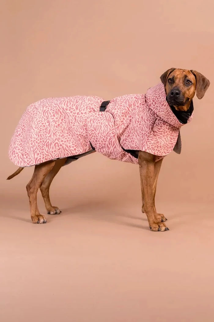 Köpekler için kışlık palto PAIKKA Visibility Winter Jacket 45 x 40 x 2,1 cm