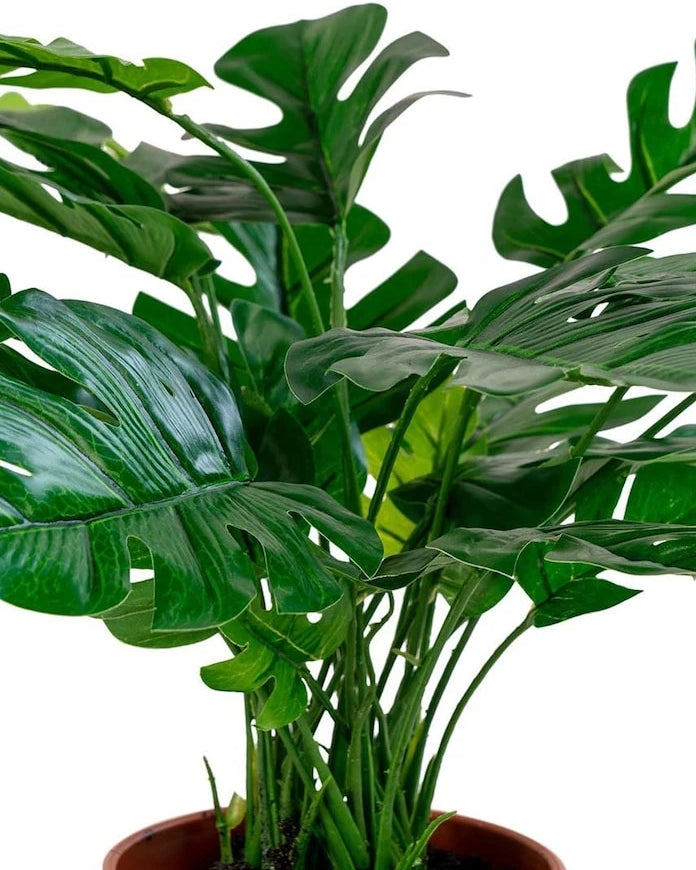 Saksıda Yapay Bitki House Nordic Monstera