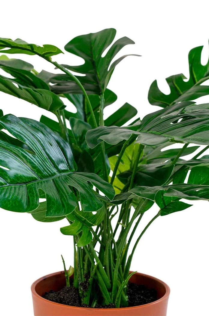 Saksıda Yapay Bitki House Nordic Monstera