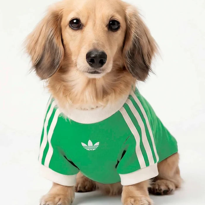 adidas Originals Evcil Hayvan Pet Cali