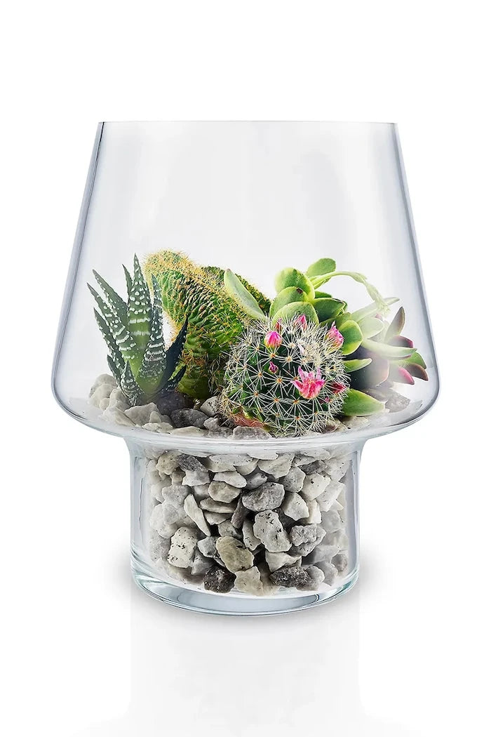 Декоративна ваза Eva Solo Succulent 21 cm